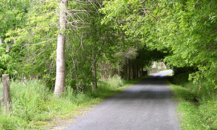 Slowater Lane, Puhoi, Auckland, North Island