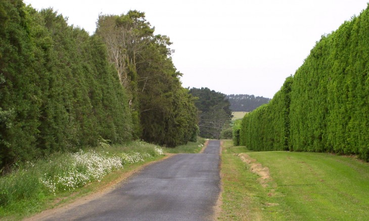 Sydney Owen Rd, Kingseat, Auckland, North Island