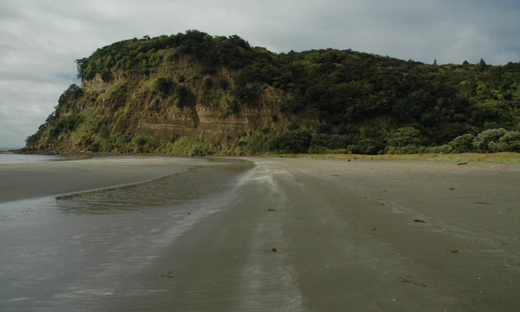 Wenderholm Regional Park, Auckland, North Island