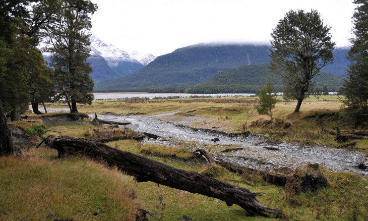 Arcadia Station, Glenorchy, South Island