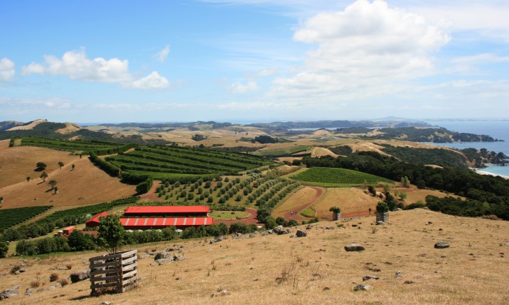 Waiheke Island, Auckland, North Island