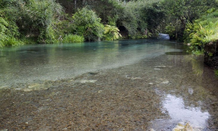 Ohinemuri River, Waikato, North Island