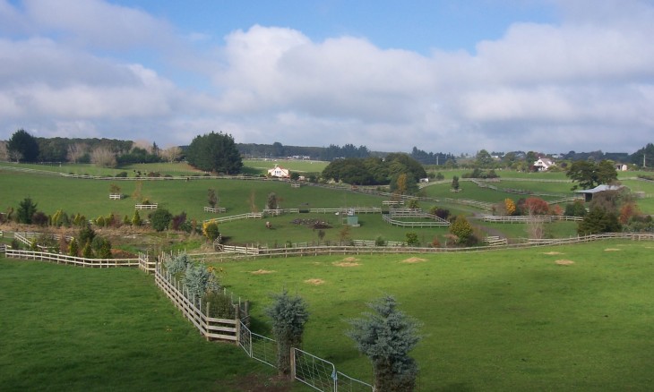 Waiuku, Auckland, North Island