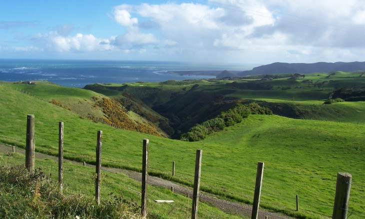 Awhitu Peninsula, Auckland, North Island