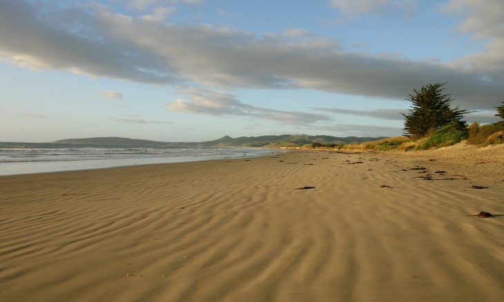 Shag Point beach, Oamaru, South Island