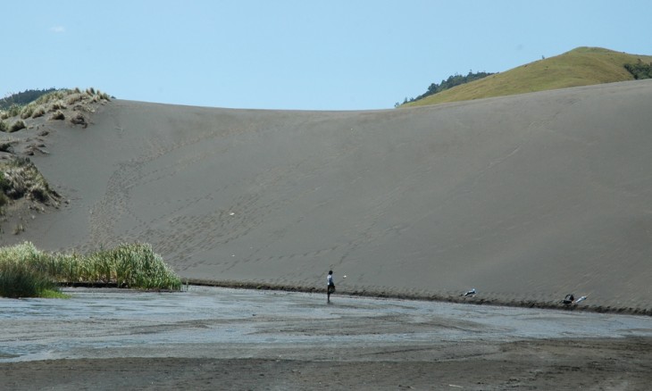 West Coast, Auckland