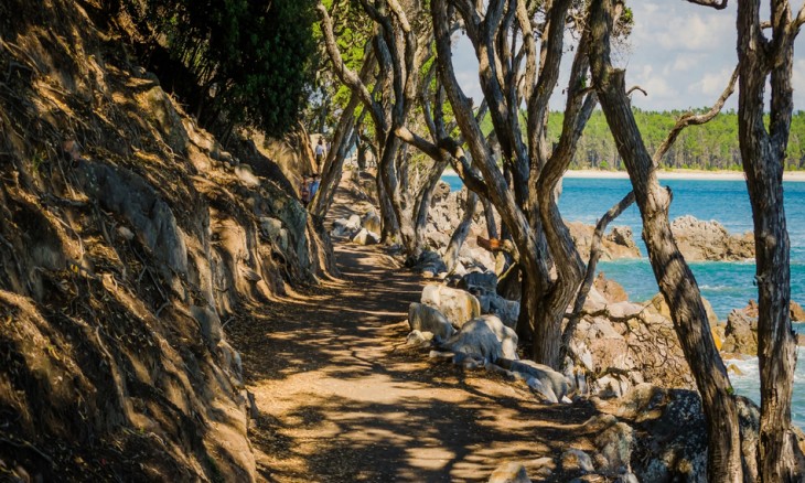 Mt Maunganui, Bay of Plenty