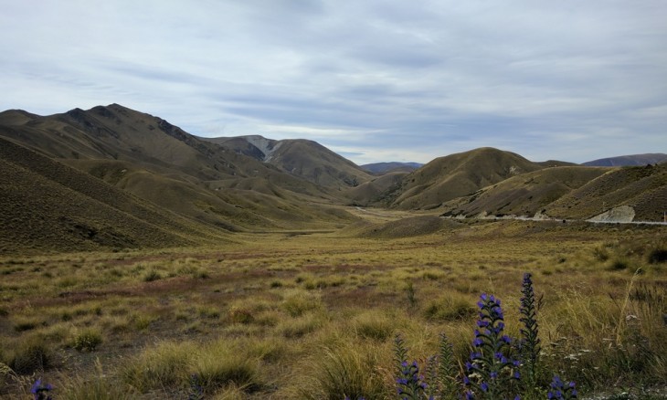 MacKenzie Country, Canterbury