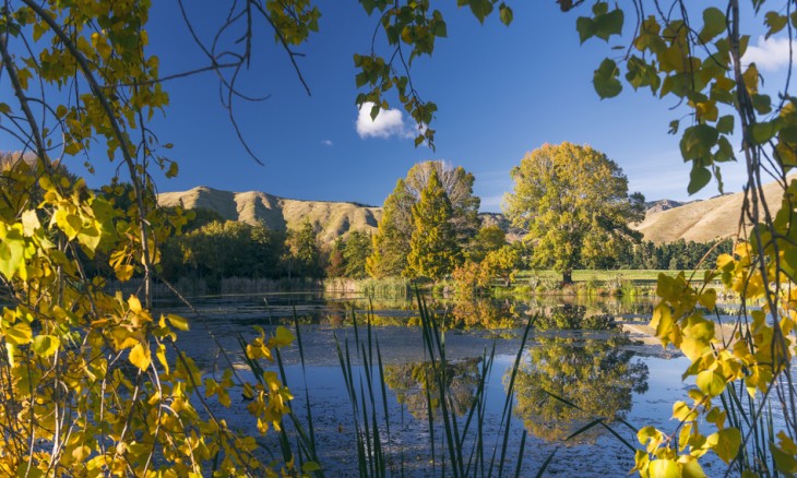 Taylor Dam, Marlborough