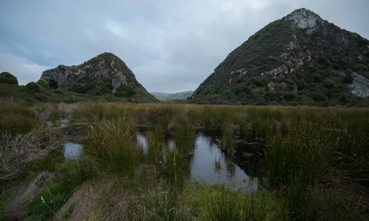 Okia Flat, Dunedin