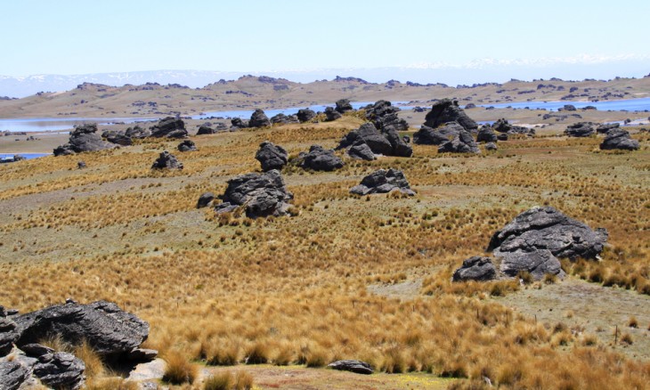 Poolburn Lake, Otago