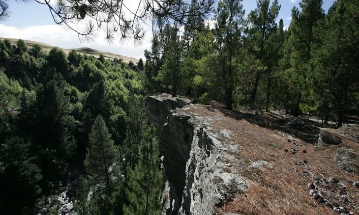 Queenstown Hill, Otago