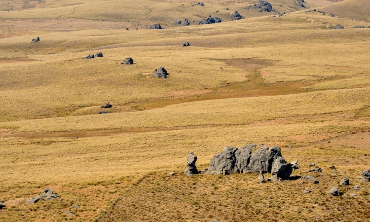 Rock and Pillar Range, Otago