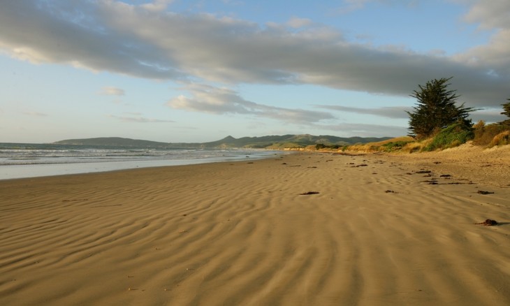 Shag Point Beach, Otago