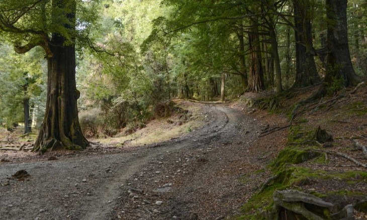 Glenorchy, Otago