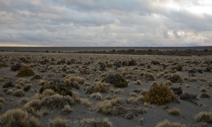 Tukino, Waikato