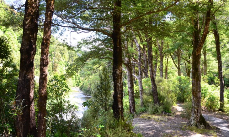 Kaitoke, Wellington