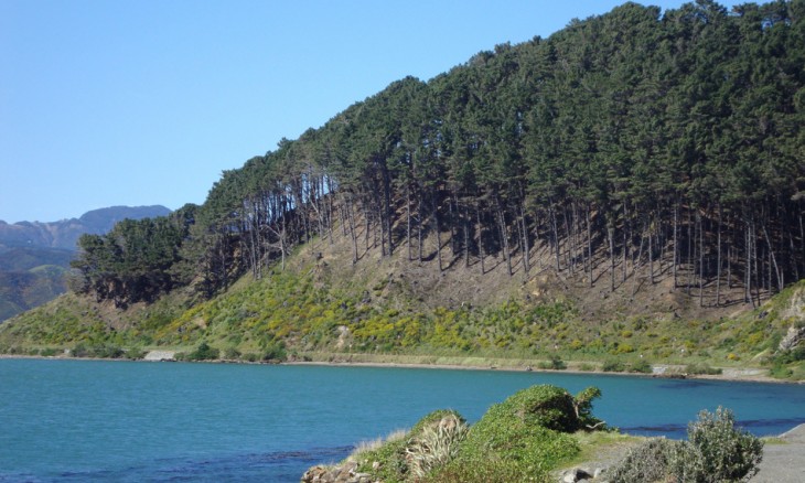 Miramar Peninsula, Wellington