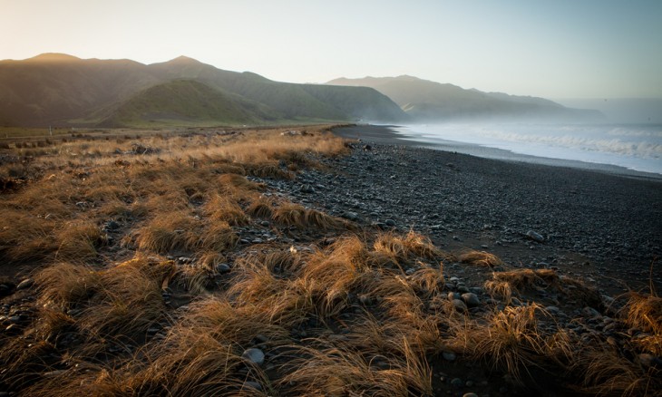 Palliser Coastline, Wellington