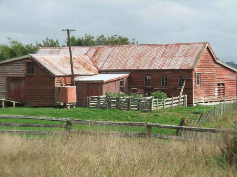 Farm near Martinborough, Wairarapa, North Island