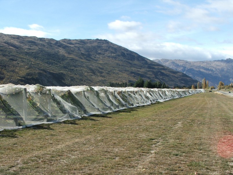Peregrine Winery, Otago, South Island