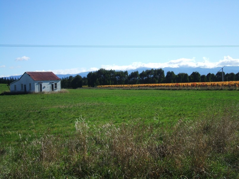 Farmland near Martinborough, Wairarapa, North Island