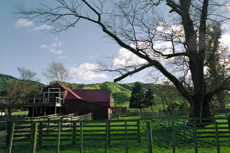 Farm near Porirua, Wellington, North Island