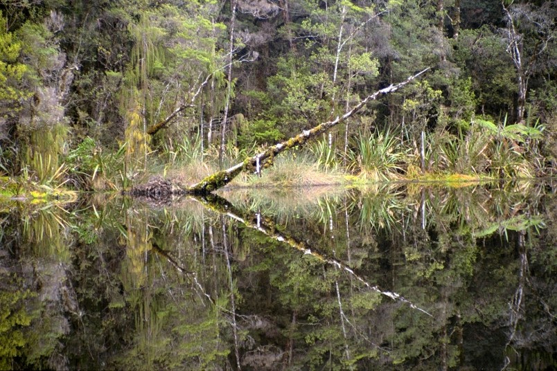 Lake near Karamea, West Coast, South Island