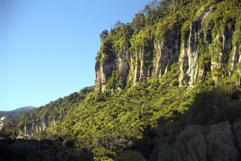 Near Porarari River, West Coast, South Island