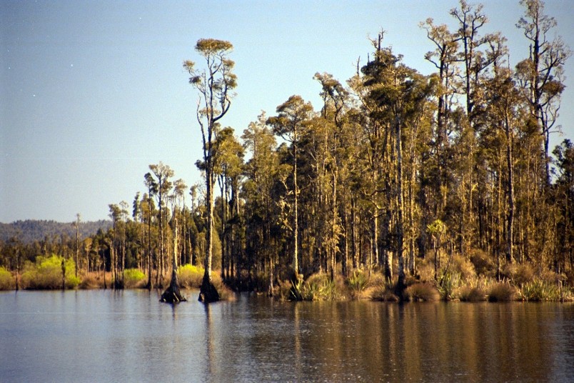 Lake Kaniere, Hokitika, West Coast, South Island