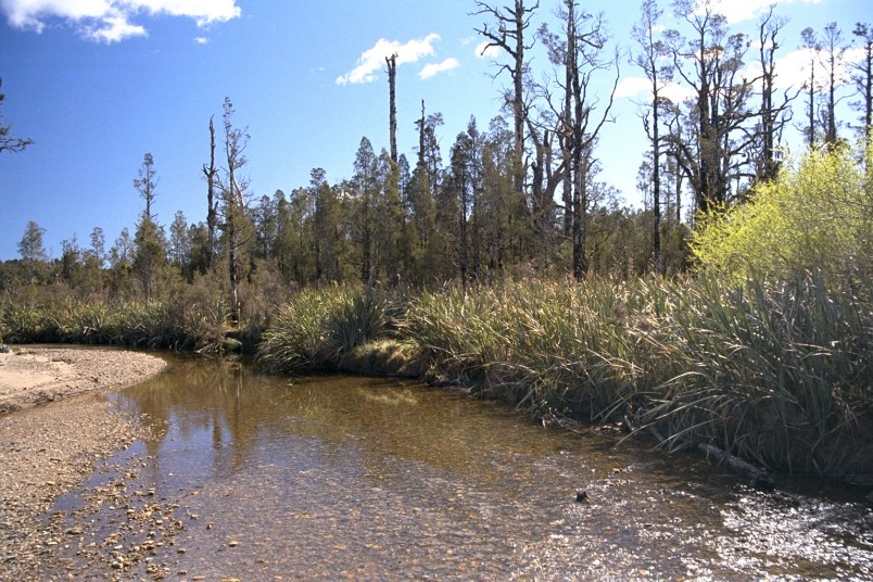 Karamea, West Coast, South Island