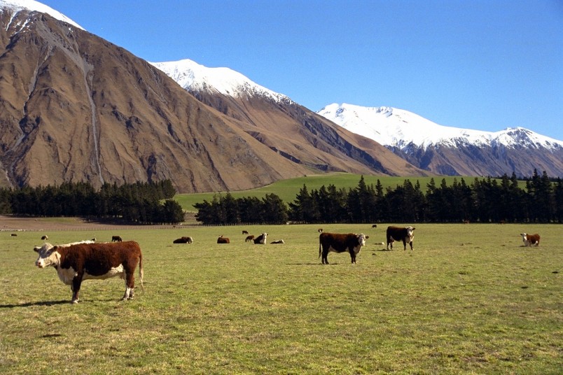 Farm near Methven, Canterbury, South Island