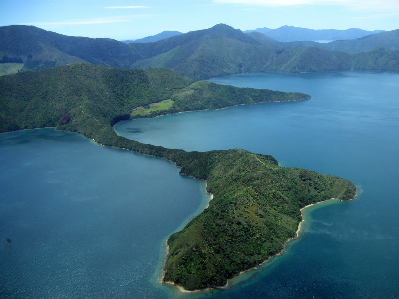 Maud Island, Marlborough Sounds, South Island