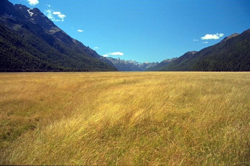 Near Te Anau, Southland, South Island