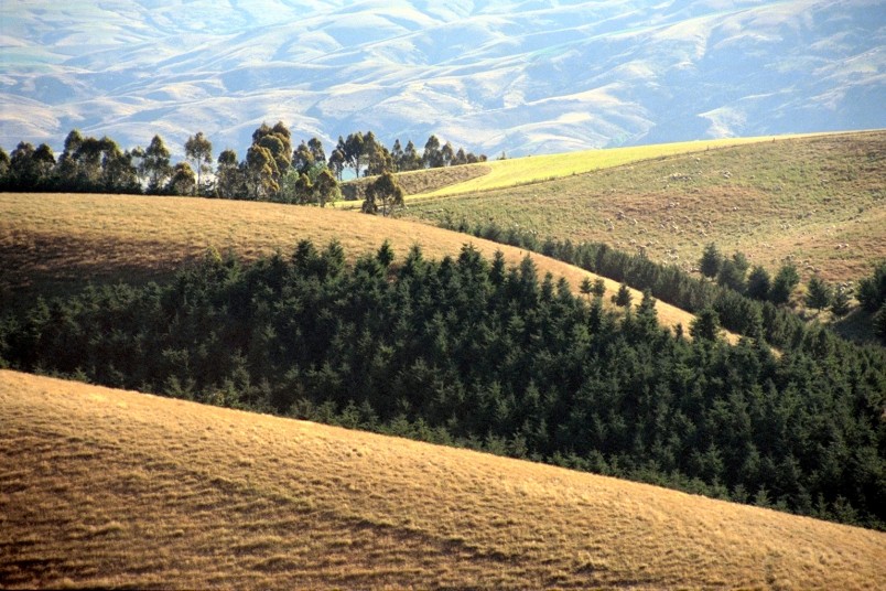 Farm land near Roxburgh, Otago, South Island