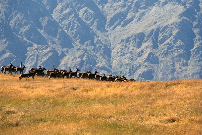 Deer Park Heights, Queenstown, South Island