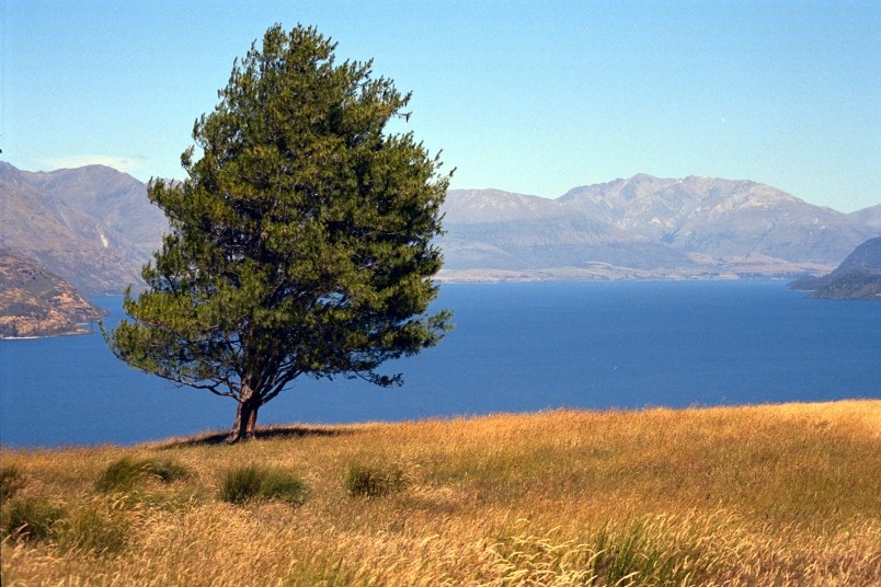 Deer Park Heights, Queenstown, South Island