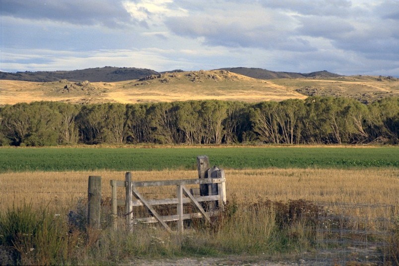 Farm near Te Anau, Southland, South Island