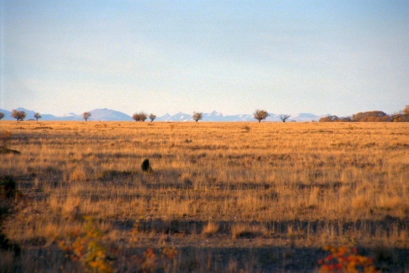 Plains near Omarama, Otago, South Island