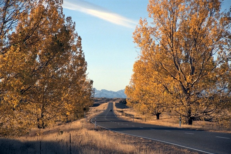 Road near Twizel, Canterbury, South Island