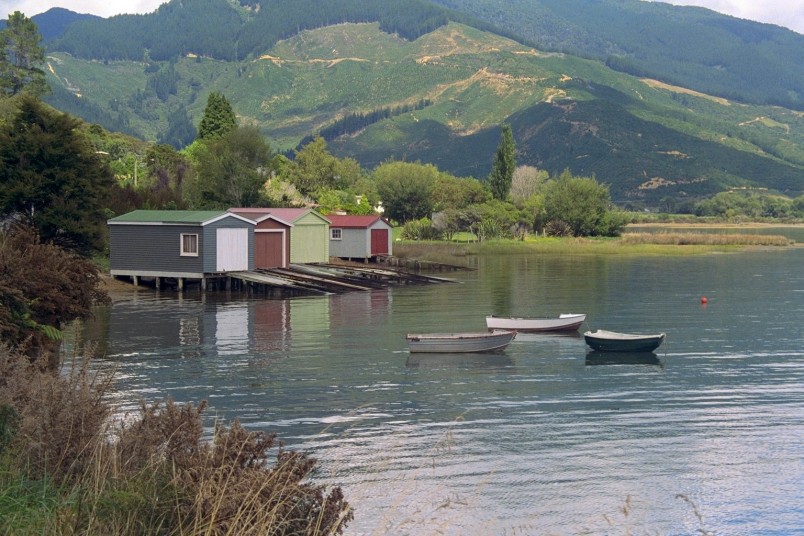 Grove, Marlborough Sounds, South Island