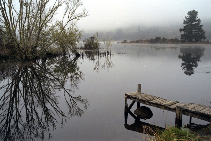 Lake Whakamaru, Waikato, North Island