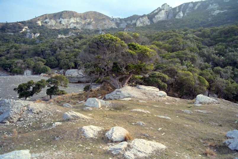 Landscape near Cheviot, Canterbury, South Island