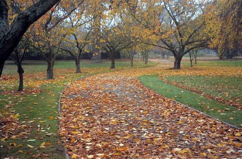 Ashburton Recreation Reserve, Canterbury, South Island