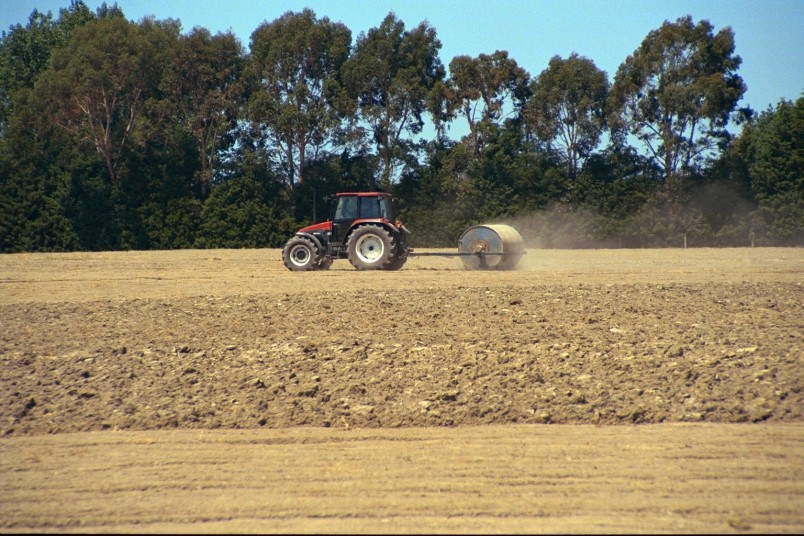 Farm near Oamaru, Otago, South Island