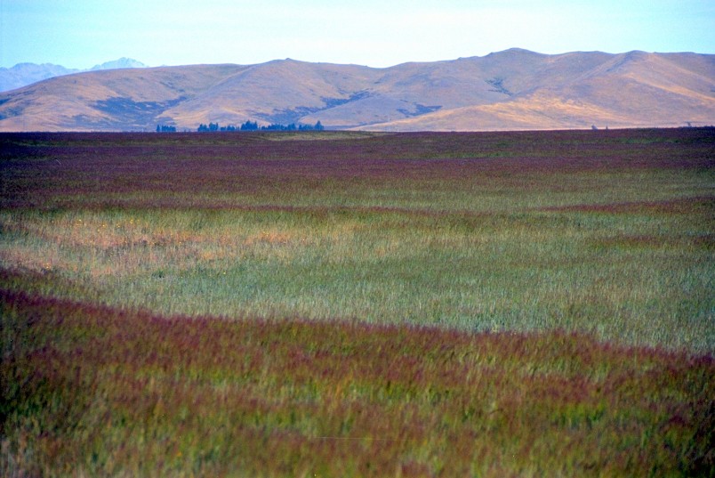 Tekapo, Canterbury, South Island