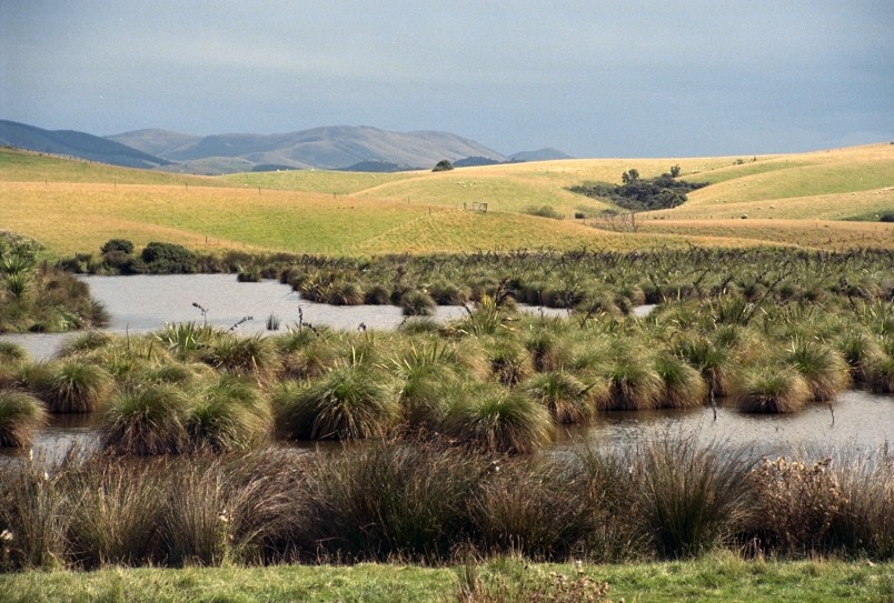 Catlins, Southland, South Island