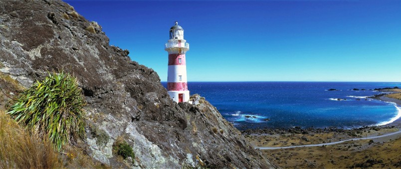 Cape Palliser, Wairarapa, North Island