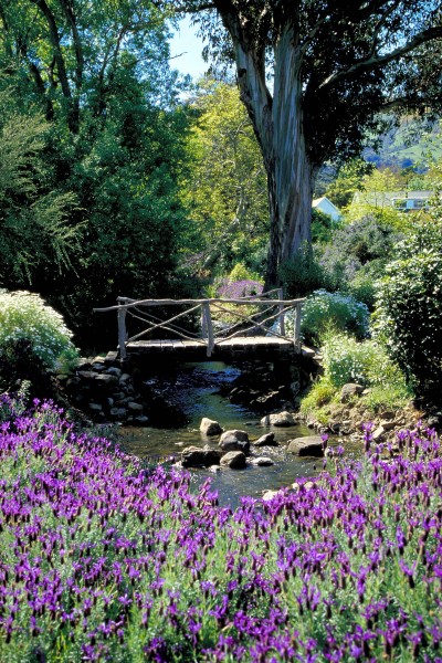 Garden in Banks Peninsula, Christchurch, South Island