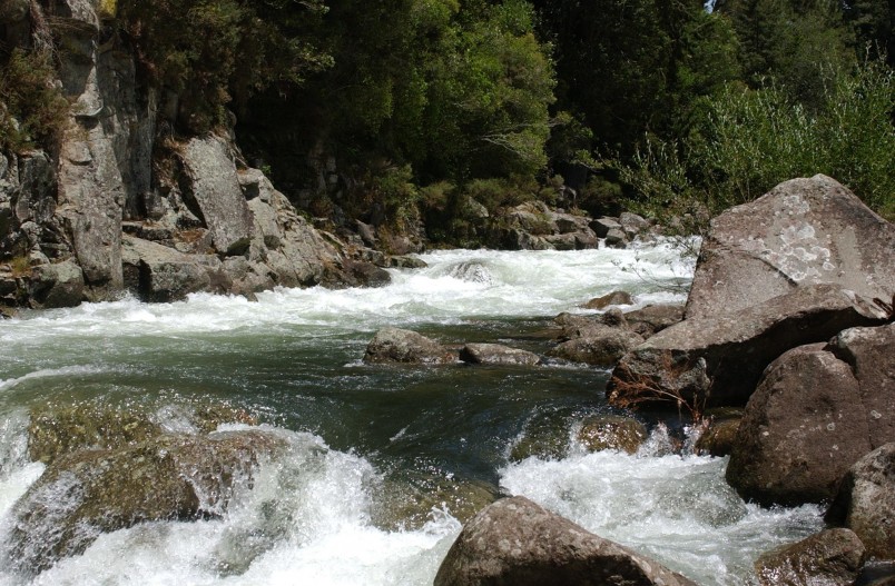 Rangitaiki River, Bay of Plenty, North Island